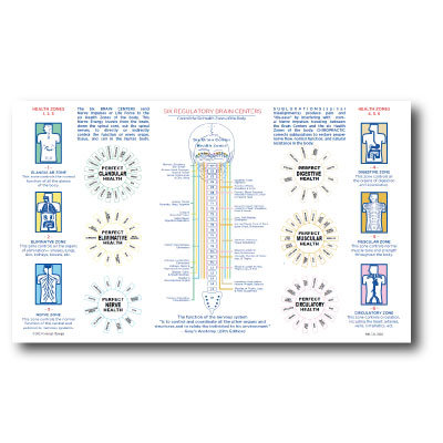 Image of Health Through Chiropractic