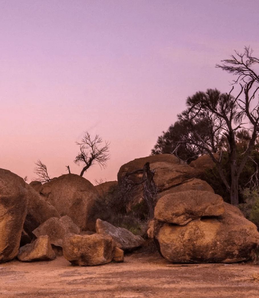 Concept-Therapy courses